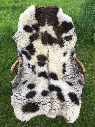 Pelt 15