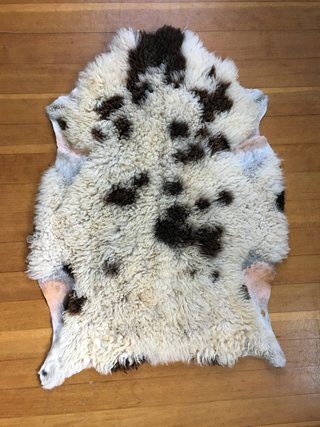 Pelt 11
