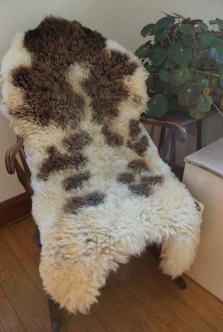 Pelt 5