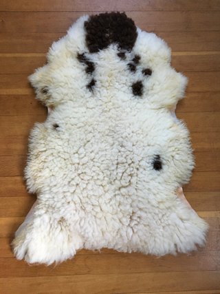 Pelt 12
