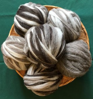 Roving Ball: Tricolor, Two-tone, or Grey